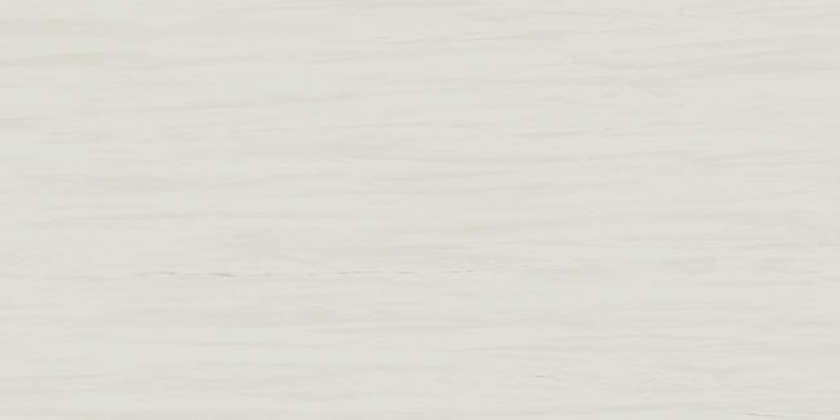 AZTV Керамогранит Atlas Concorde (Италия) Marvel Bianco Dolomite Lappato 120x240 (2400x1200)