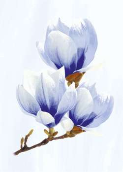 Blue decor (250x350)