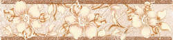 Beige border B (250x60)