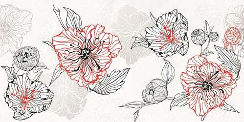 Red-gray D (500x250)