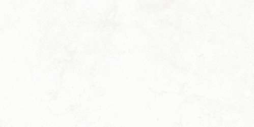 Light-grey (500x250)