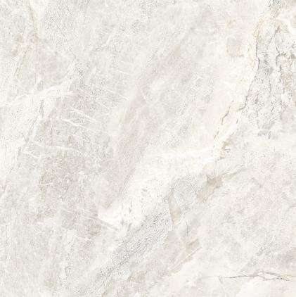 Керамогранит Axima Reims Светло-серая 600х600х8 (600x600)