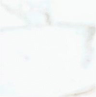 Светлая 20х20 (200x200)