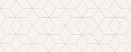 Ornament 20.1х50.5 (505x201)