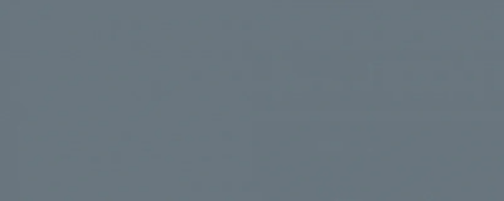 Steel 20.1х50.5 (505x201)