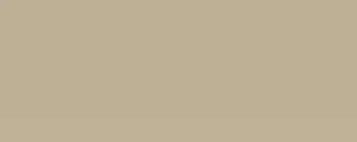 Vanilla 20.1х50.5 (505x201)