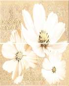 Панно настенное Azori Sfumato Beige Floret панно (комплект 2шт) 50.5x40.2 (402x505)
