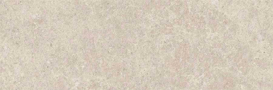 Плитка настенная Baldocer Arkesia Ash Rect 30x90 (900x300)