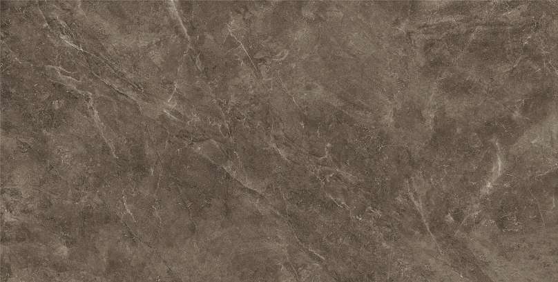 Керамогранит Baldocer Bayona Moka Pulido 120x240 (2400x1200)