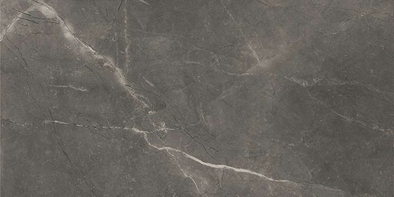 Керамогранит Baldocer Bayona Grey Pulido 120x240 (2400x1200)