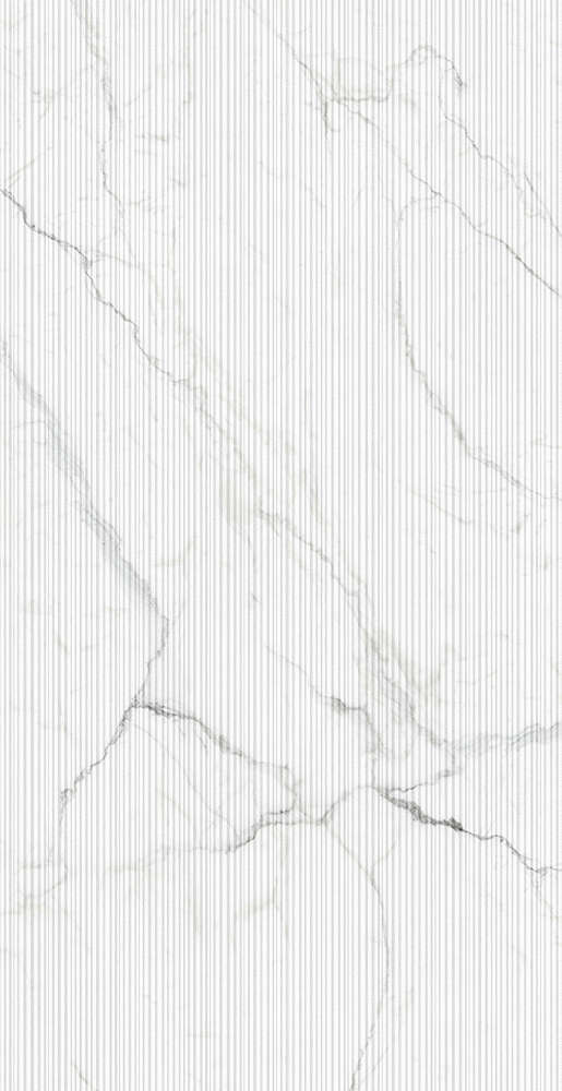 Basconi Home Cararra Art Mould-Soft Glaze 60x120 -3