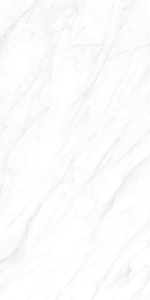 Basconi Home Carrara Matt Grains Soft-Polished Mould 60x120 -3
