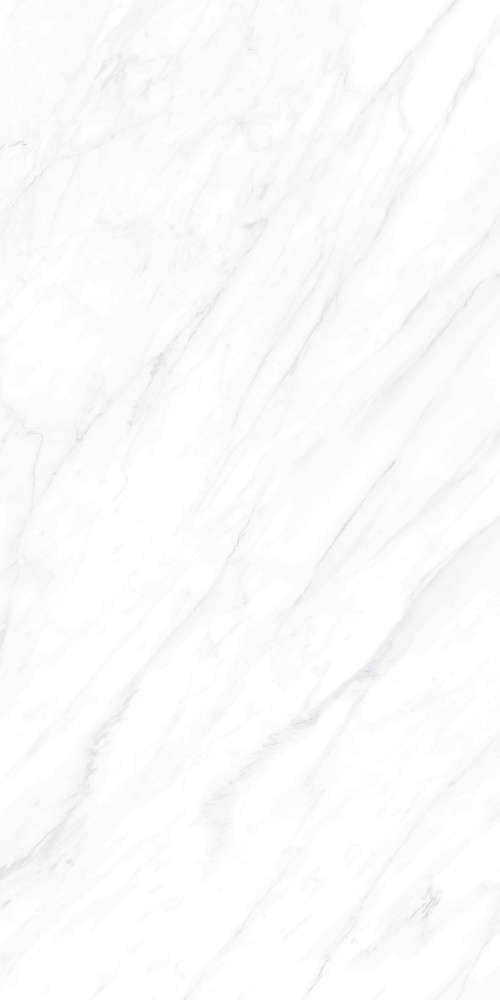 Basconi Home Carrara Matt Grains Soft-Polished Mould 60x120 -5