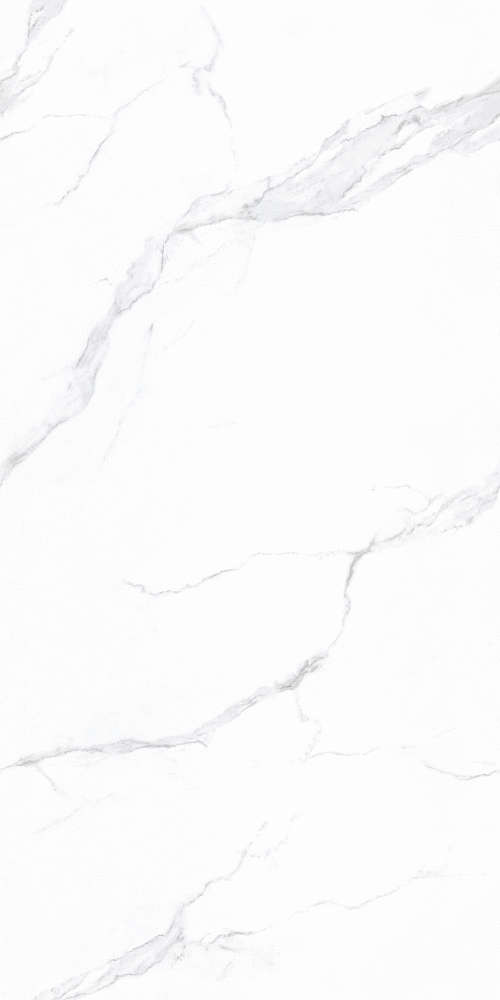 Basconi Home Carrara Full Body Polished (Sinking Ink) 60x120 -2