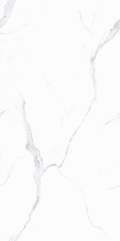 Basconi Home Carrara Full Body Polished (Sinking Ink) 60x120 -3