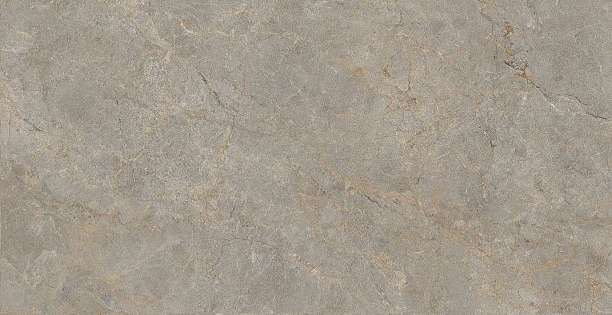 Basconi Home Root Brown Semi-Polished 60x120x9.5