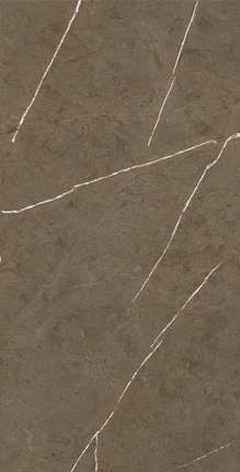 Basconi Home Stone Brown 3D Ink-Soft Glaze  60x120