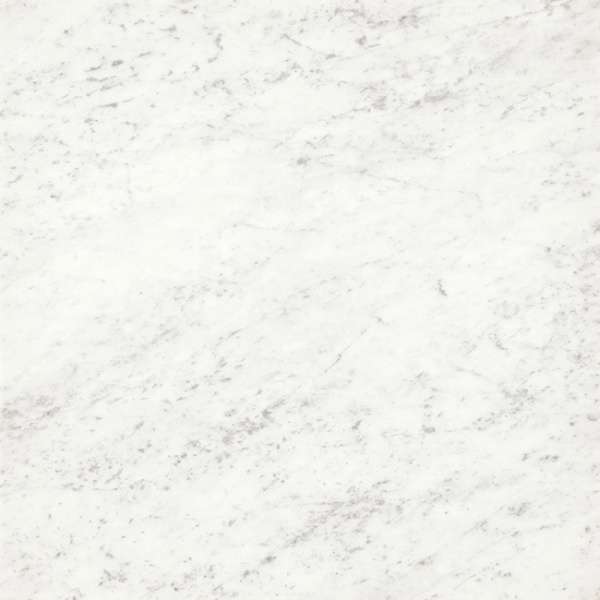 Carrara 73 Glossy (730x730)