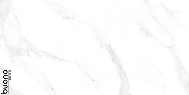 Buono Ceramica Marble Carrara Anita Mat 60x120