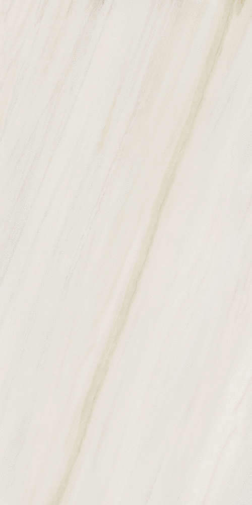 Snow Liscio Matt 60x120 (600x1200)