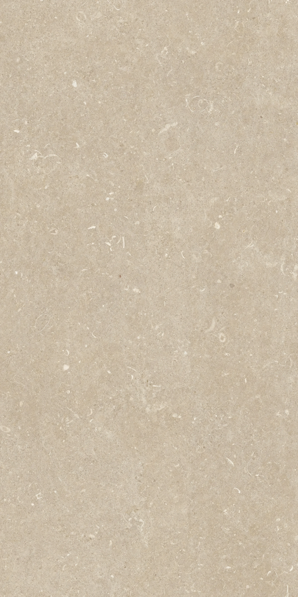 785481 Керамогранит Casa Dolce Casa Rinascenza Arena Conchiglia Matte 60x120 (600x1200)