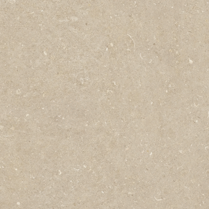 Casa Dolce Casa Rinascenza Arena Conchiglia Matte 6mm 120x120