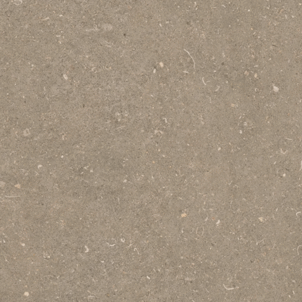 Casa Dolce Casa Rinascenza Arena Pietra Matte 6mm 120x120