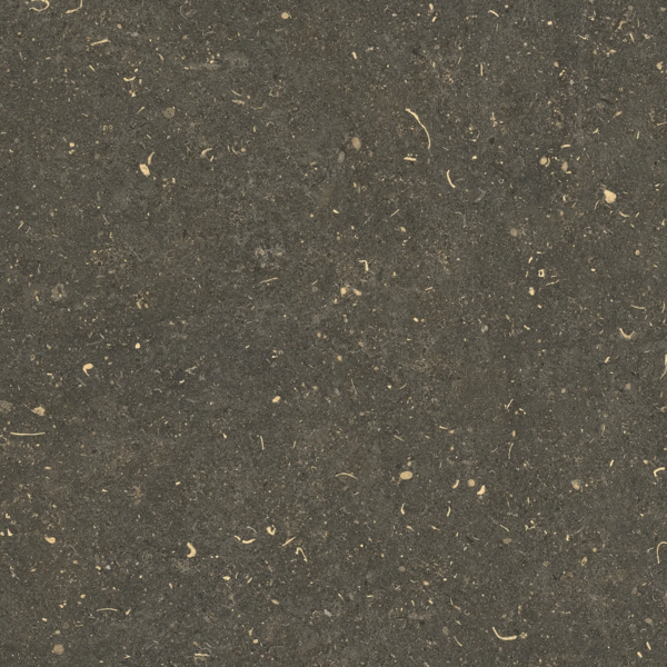 785487 Керамогранит Casa Dolce Casa Rinascenza Arena Platino Matte 60x60 (600x600)