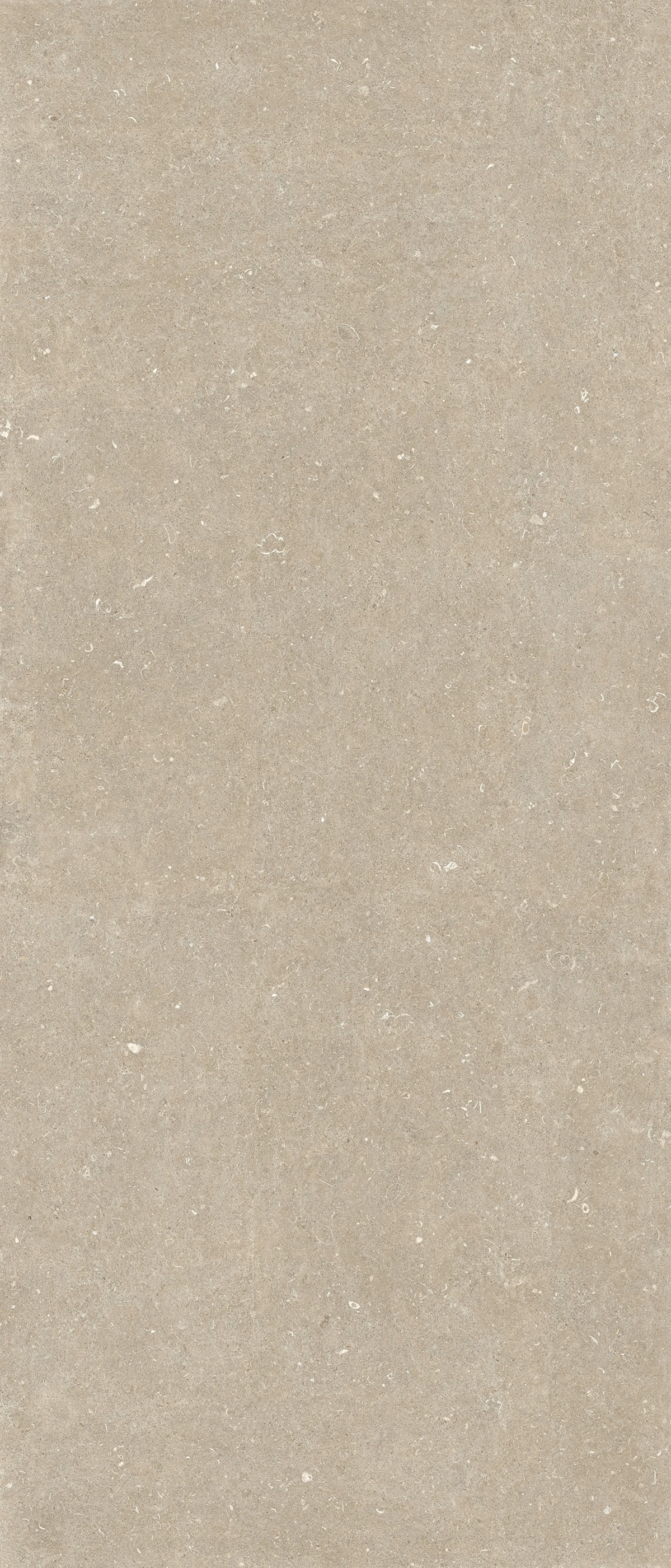 785571 Керамогранит Casa Dolce Casa Rinascenza Arena Conchiglia Matte 6mm 120x280 (1200x2800)