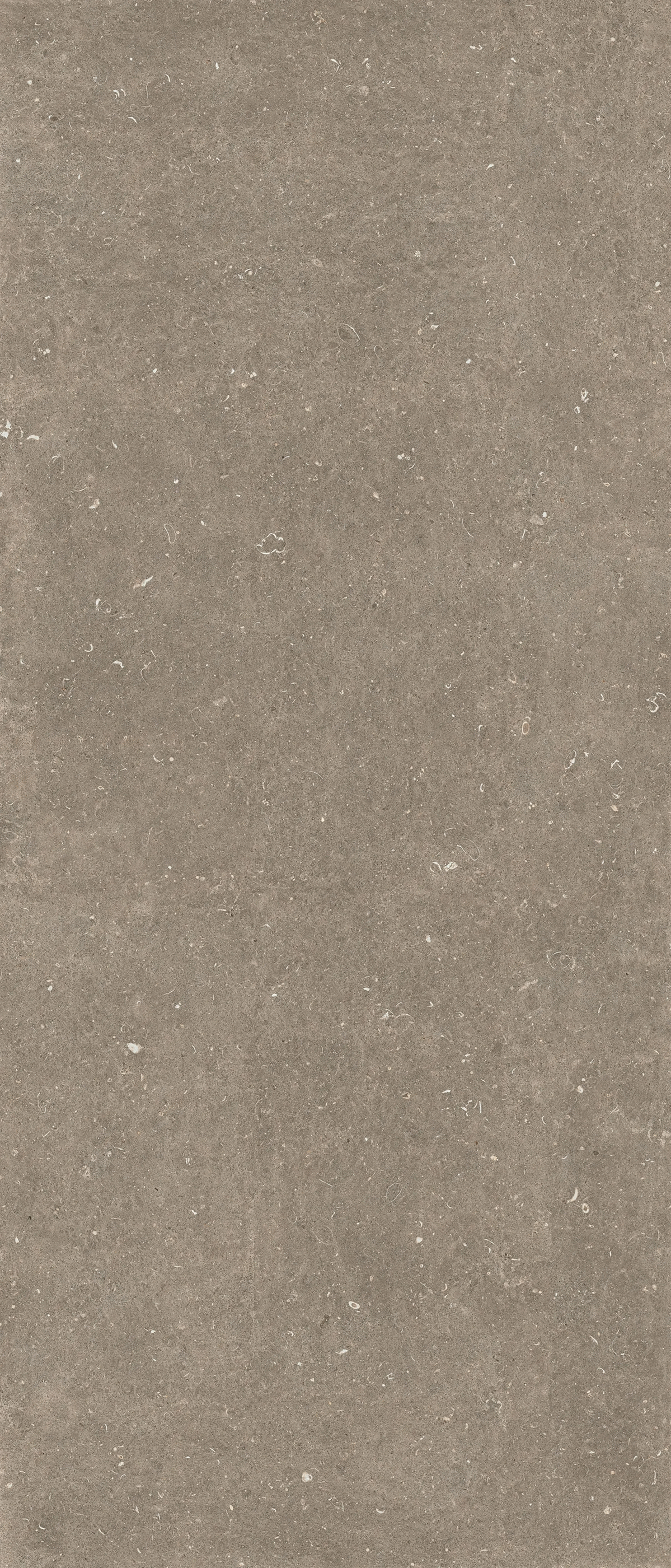 785572 Керамогранит Casa Dolce Casa Rinascenza Arena Pietra Matte 6mm 120x280 (1200x2800)