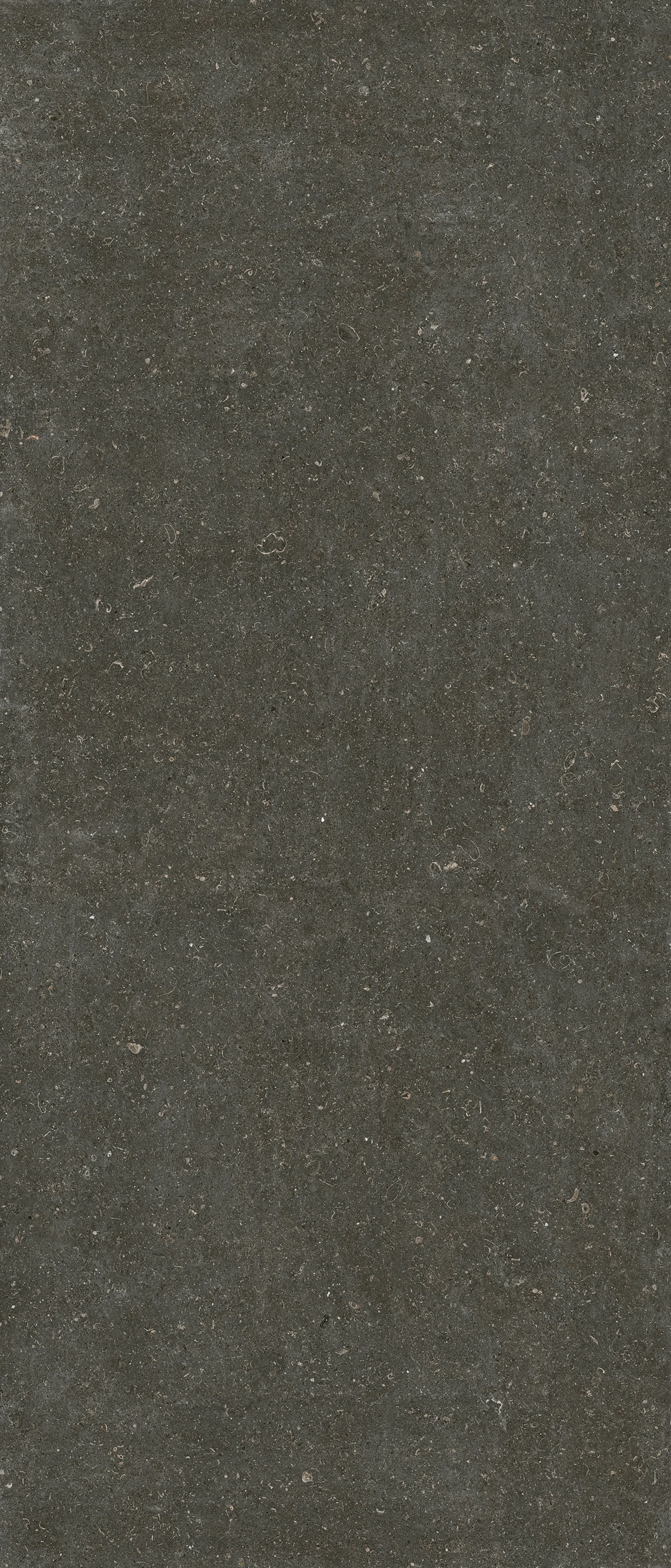 785573 Керамогранит Casa Dolce Casa Rinascenza Arena Platino Matte 6mm 120x280 (1200x2800)