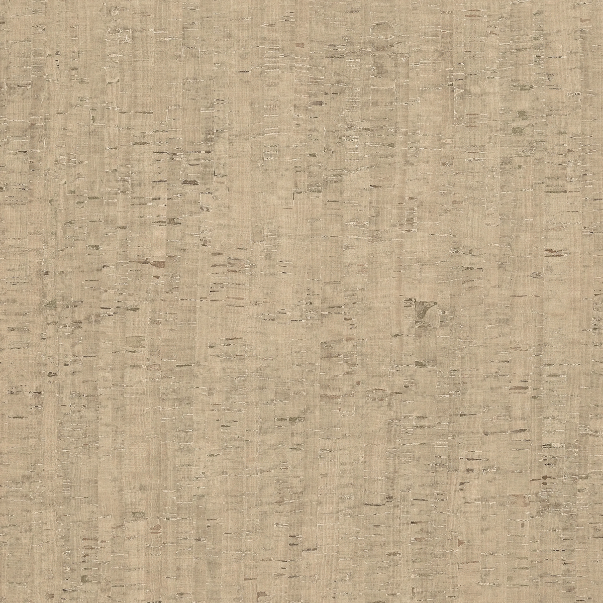 785596 Керамогранит Casa Dolce Casa Rinascenza Modulo Conchiglia Matte 6mm 120x120 (1200x1200)