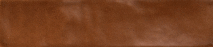 Casa Dolce Casa Sensi Colore Marrone Glossy 5.7x23.2