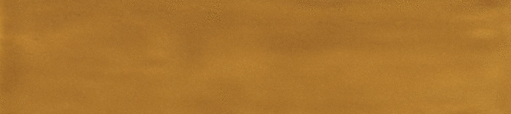 Casa Dolce Casa Sensi Colore Cammello Glossy 5.7x23.2