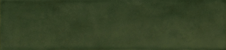 Casa Dolce Casa Sensi Colore Bosco Glossy 5.7x23.2