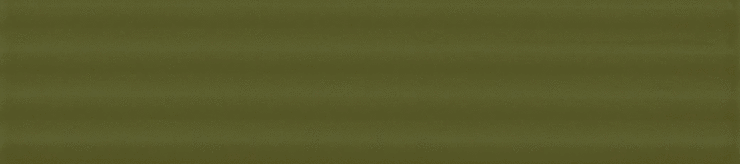 Casa Dolce Casa Sensi Colore Muschio Glossy Cann 5.7x23.2