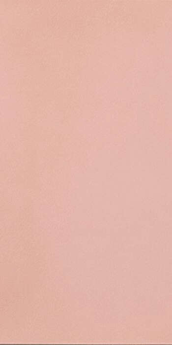 Light Pink 9mm 60x120 (600x1200)