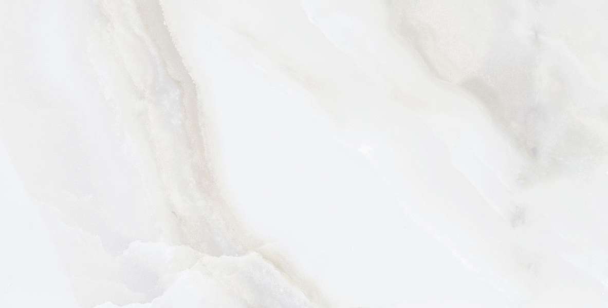 Onice Ocean Bianco PGVT   120x60 (1200x600)