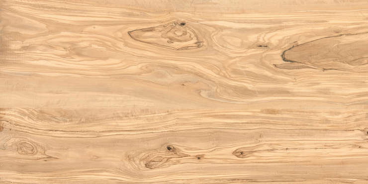 Casati Ceramica Mix Alpine Natural Wood Matt 60x120