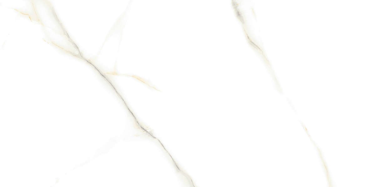 Casati Ceramica Mix Venato Bianco PGVT  120x60 -2