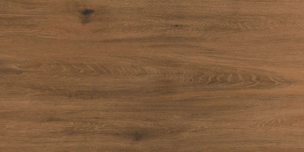 Euphoria Wood Brown Matt 60x120 (1200x600)