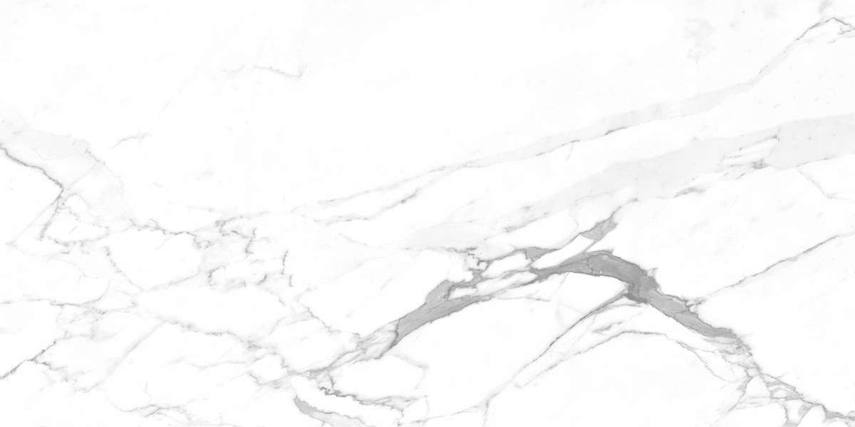 Ceradim Carrara Terrific Silver  60120  -2