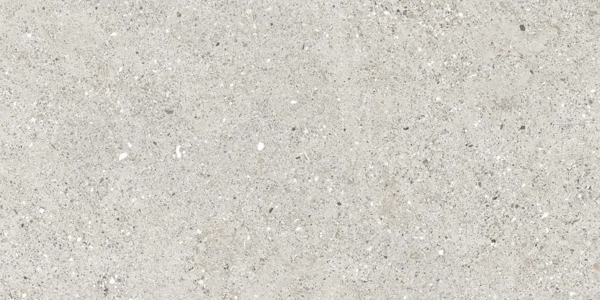Grigio Серый Матовый 59.5х119.1 (1191x595)