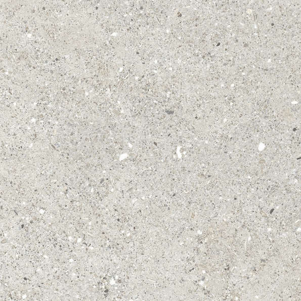 Grigio Серый Матовый 59.5х59.5 (595x595)
