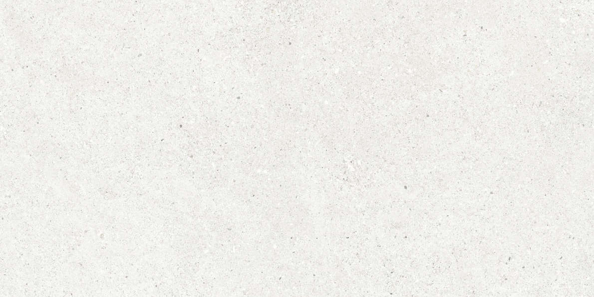Bianco Светло-Серый Матовый 59.5х119.1 (1191x595)