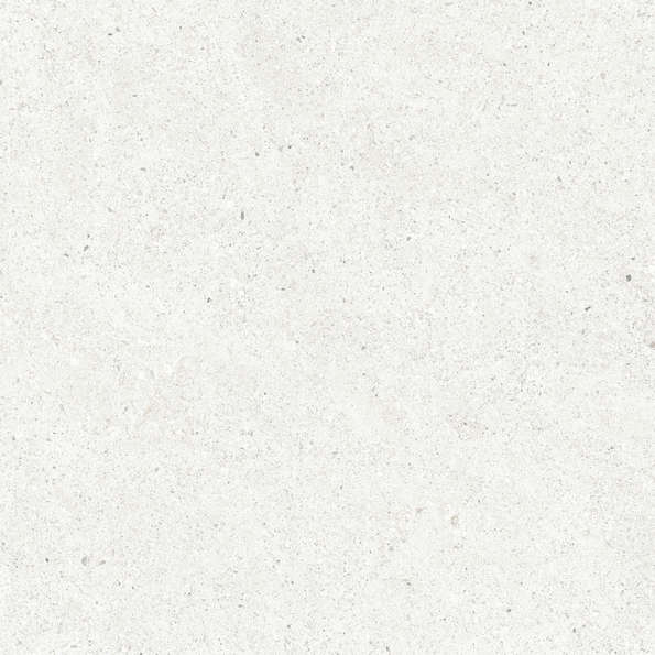 Bianco Светло-Серый Матовый 59.5х59.5 (595x595)