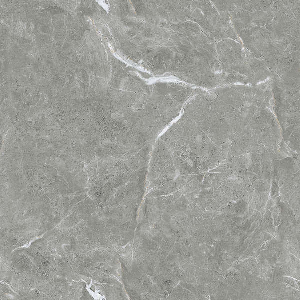 Ceradim Stone Cool Grey  6060  -2