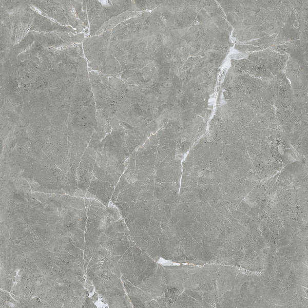 Ceradim Stone Cool Grey  6060  -4