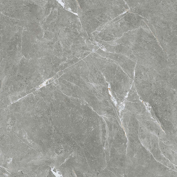 Ceradim Stone Cool Grey  6060  -5