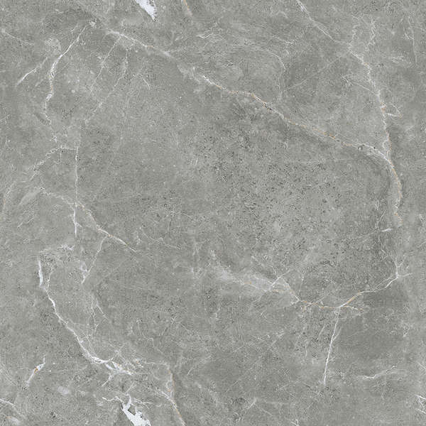 Ceradim Stone Cool Grey  6060  -6